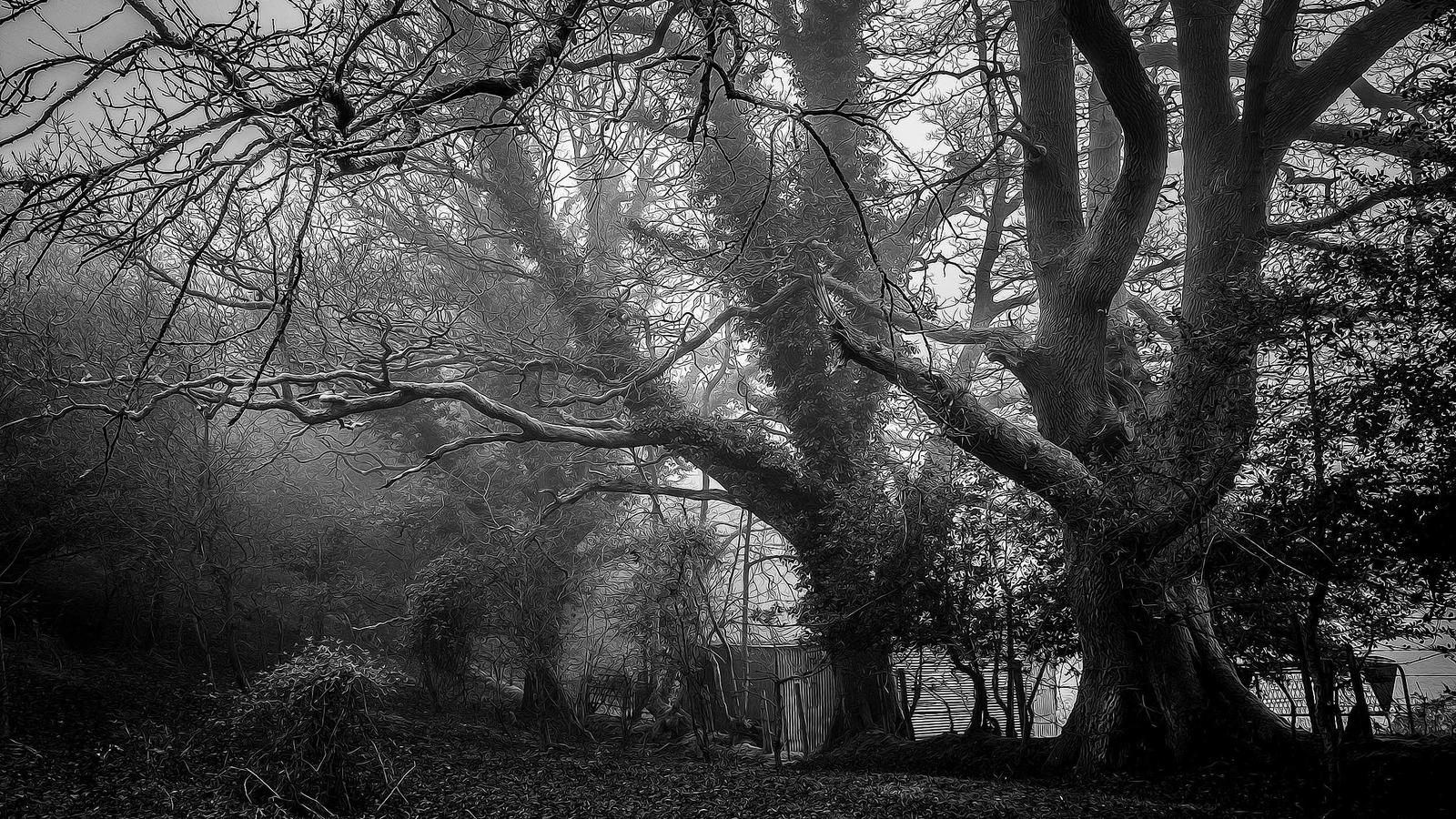 Otter.ai Alternatives: What to Use Instead (Honest Breakdown)