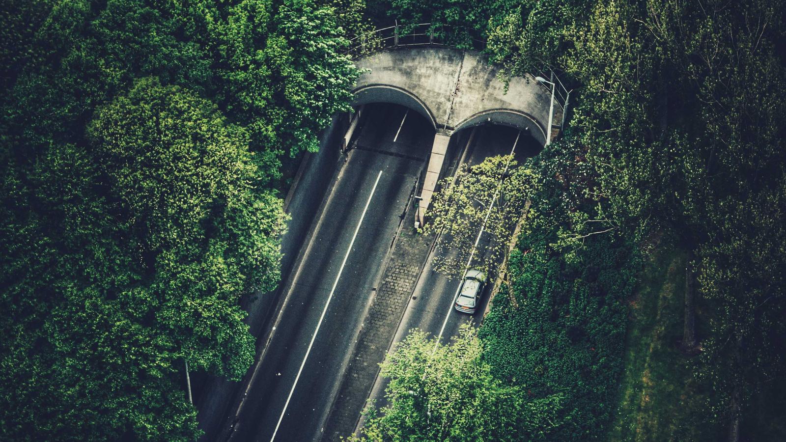 Why Universities Are Blocking AI Meeting Bots — And What It Means for Your Business