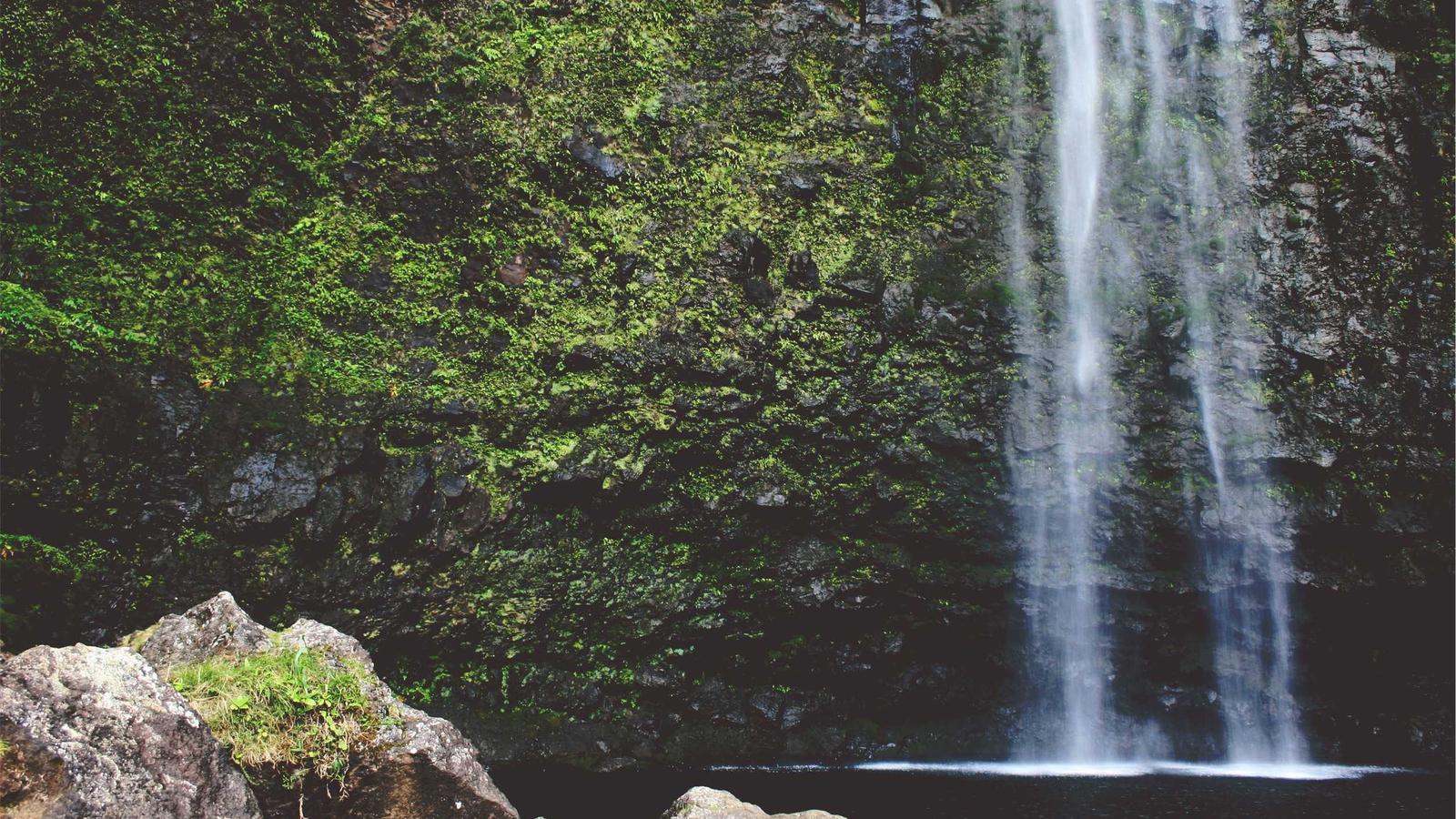 Fireflies vs Otter.ai: Which One Should Your Team Use?