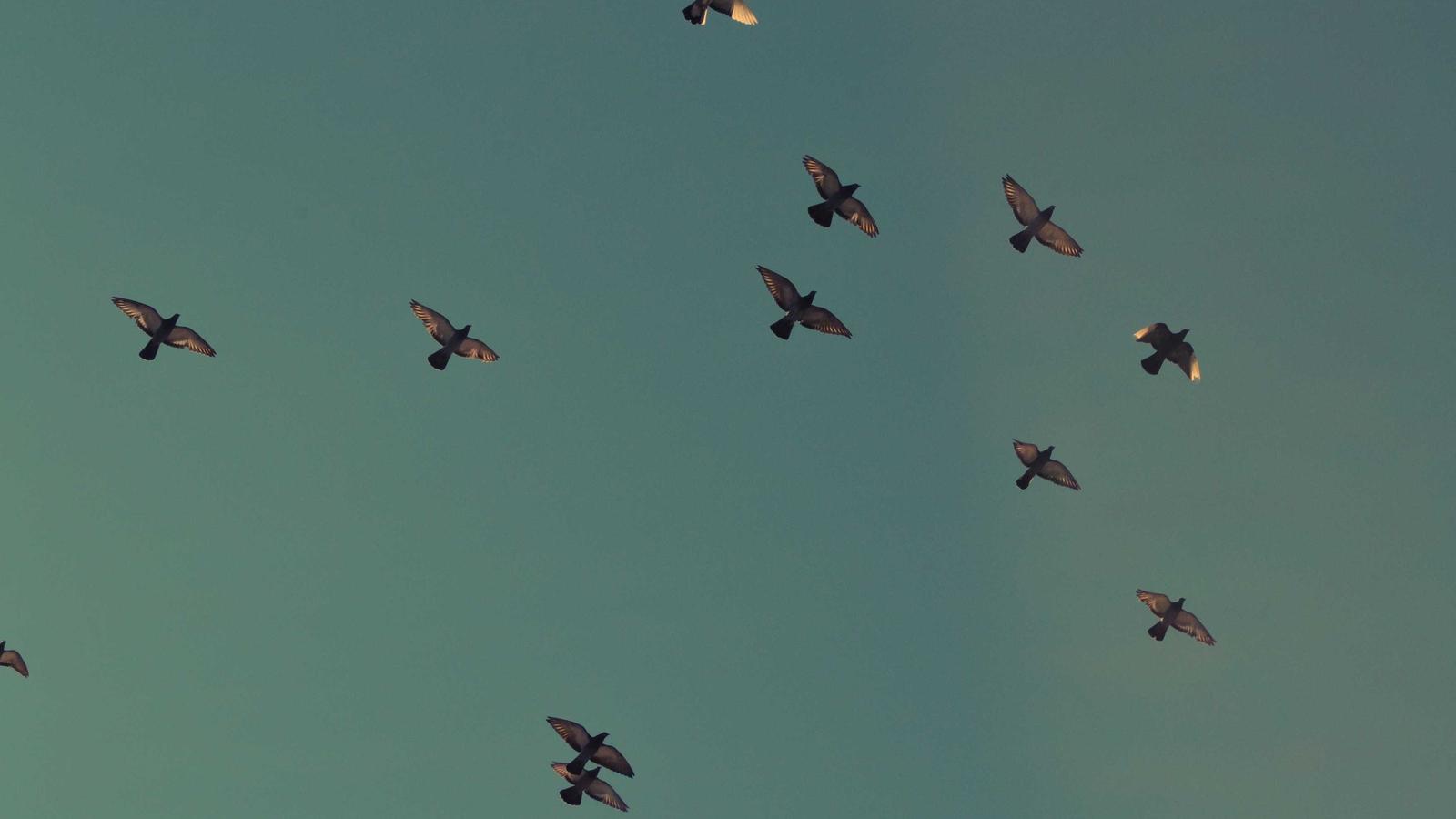 Your Meeting Tool Got Sued. Yours Might Be Next.